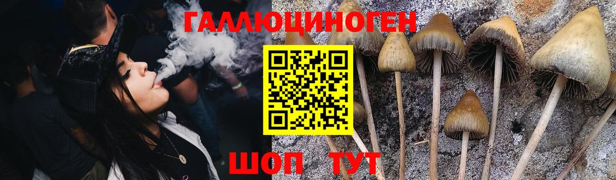 Галлюциногенные грибы мицелий  Псилоцибиновые грибы Magic Shrooms  Вход с VPN  Грозный 